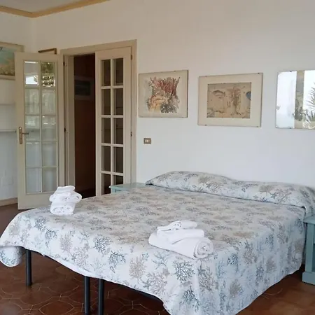 Parco Termale Tropical Bed & Breakfast Ischia